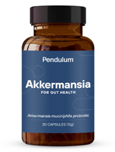 Load image into Gallery viewer, 1687006312_pendulumfront